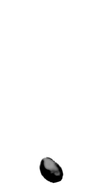 泡