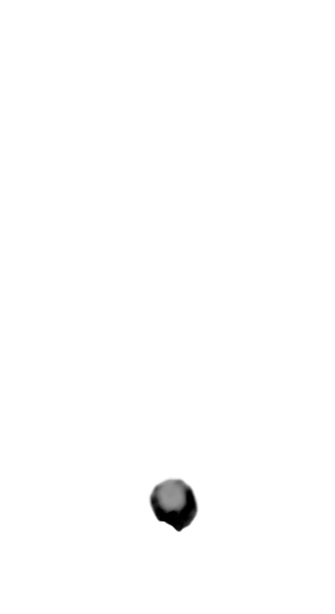 泡