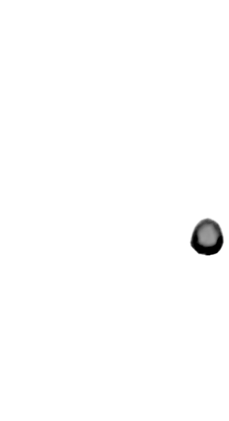 泡